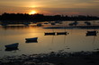 ile tudy