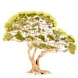 tree