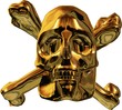 Illustration: Piraten-Logo in Gold Piraten-Logo in Gold