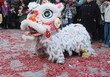 Nouvel an chinois