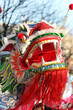 Dragon chinois