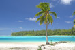 Südseestrand auf Moorea