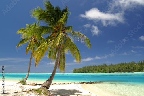 Südseestrand auf Moorea
