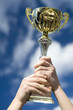 Pokal