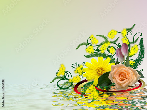 mimosa sul mare