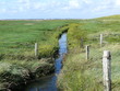 Priel auf der Hallig Priel auf der Hallig