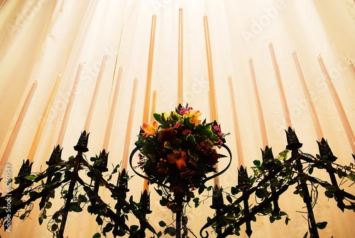 Photo: candelabra in focus 02 candelabra in focus 02