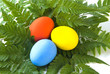 Colorful Easter Eggs
