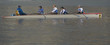 championnat d'aviron,cote d'azur