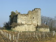 le château des vignes