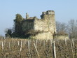 le château des vignes