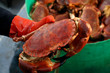 Fresh Crab