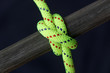 Bright rope tied around wood Bright rope tied around wood