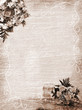 wedding, anniversary, holiday background