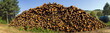 Panoramique - Pile de bois
