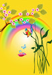 spring time