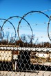 barbed wire defense 02