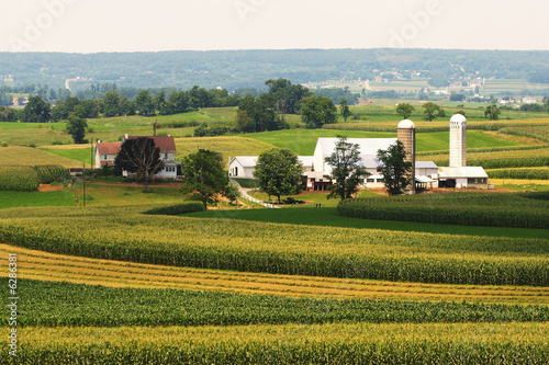 Photo: An amish farmland in Pennsylvania. An amish farmland in Pennsylvania.