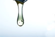 Honey drop 05