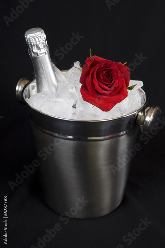 Champagner