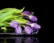 Lavender Light