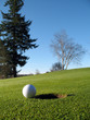 golf course pg