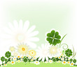 flour leaves clover and spring white flowers flour leaves clover and spring white flowers