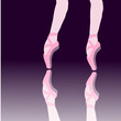 jambes de danseuse classique jambes de danseuse classique
