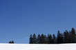 Winter Background with lots of copyspace