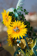 Masque carnaval Annecy 16