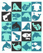 animaux marins