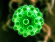 isolierter virus
