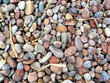 Stones and Fish Bones