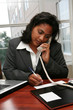 Businesswoman working on a computer in an office Businesswoman working on a computer in an office