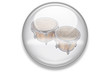 Musikbuttons Aqua: Bongos