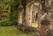 ruine martinique ruine martinique