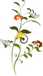 vecteur série - fleur vectorielle