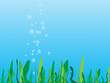 Sea grass Sea grass