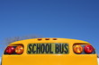 Shool Bus