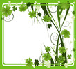 clover frame for St. Patrick's Day 