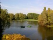 Bonn Rheinauen Bonn Rheinauen