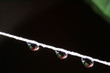 Makro Wassertropfen