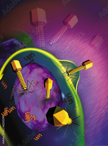 Illustration: 3D rendered cell infected by bacterium 3D rendered cell infected by bacterium