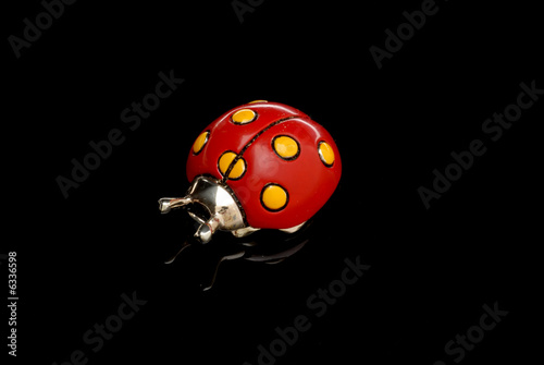 coccinella