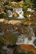 Cascade in the medium of nature