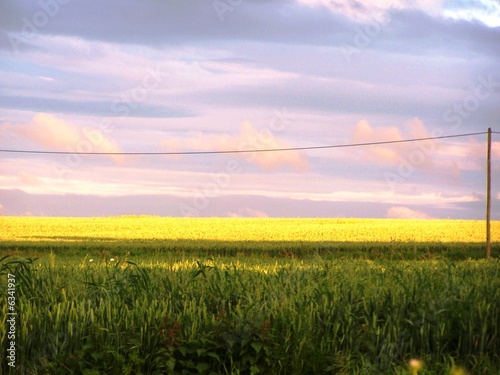 Foto: jour d'orage 1 jour d'orage 1