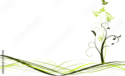 photo par Olivier Le Moal