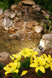 Water Feature in a backyard of a luxury home Water Feature in a backyard of a luxury home
