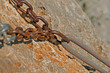 Sicherung