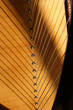 cordes de harpe